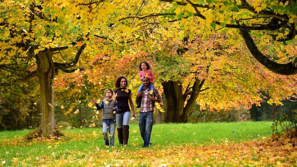 Clumber Park